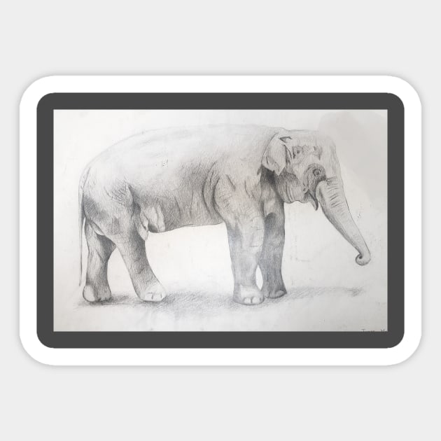 Elephant Drawing by Dasom Sticker by MHS Art